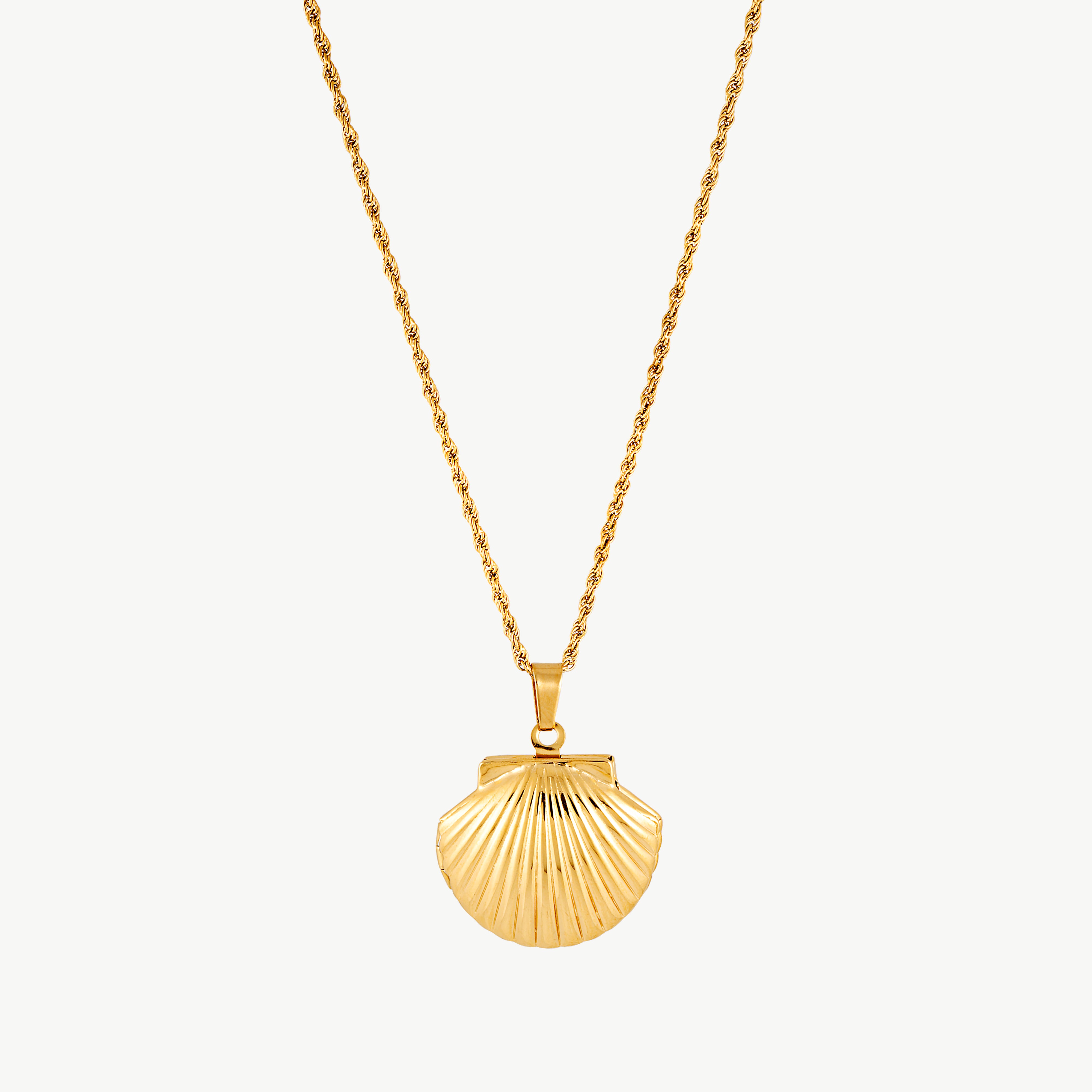 gold seashell locket necklace shown open with detailed scallop shell interior and polished gold rope chain