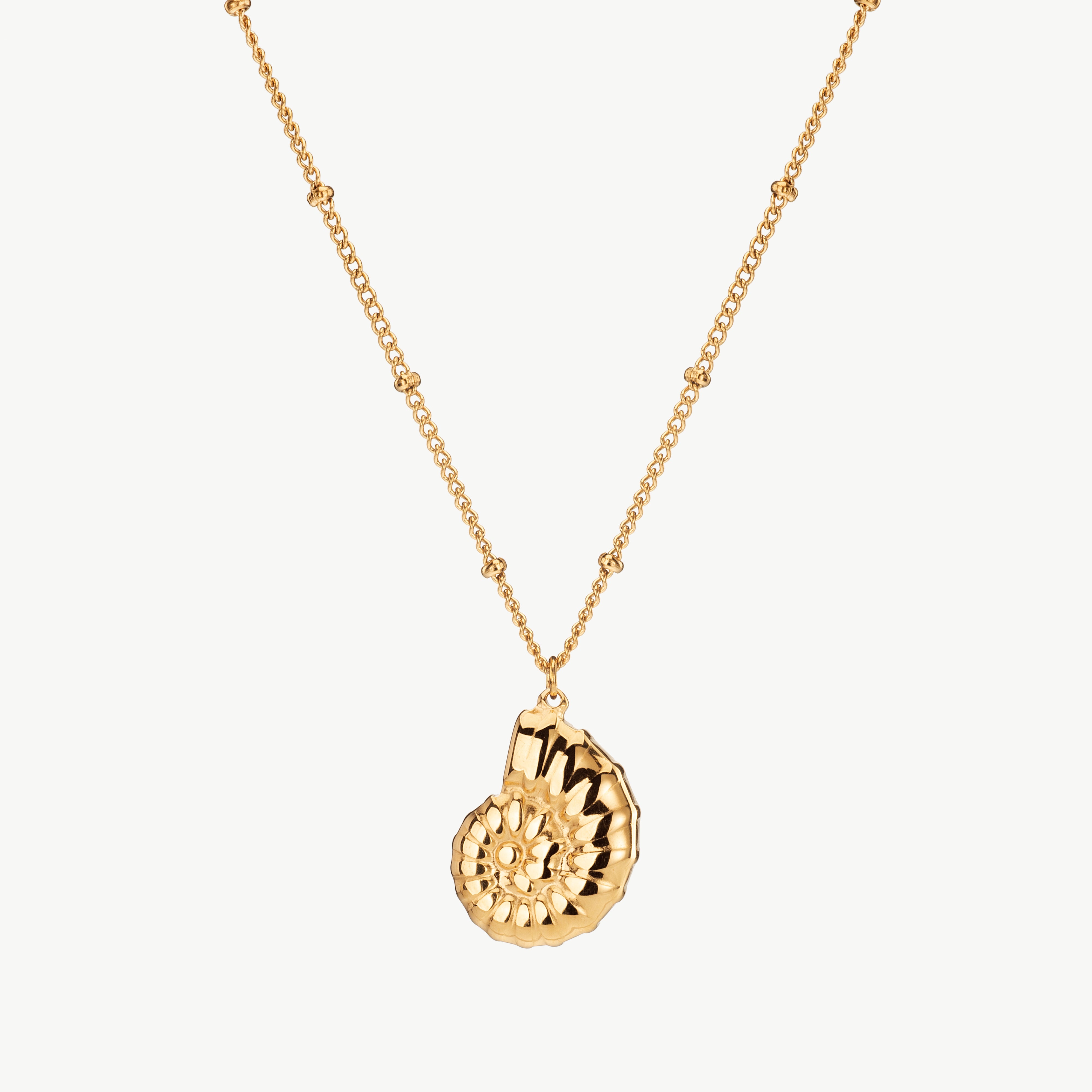 nautilus necklace in gold with spiral shell pendant, gold nautilus shell necklace inspired by coastal charm with sea shell necklace and beach shell necklace detail